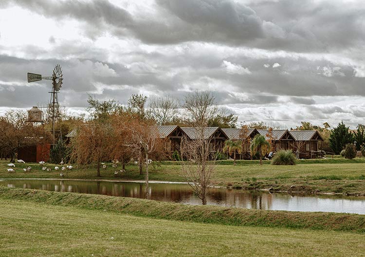 Áreas y equipamientos: el parque