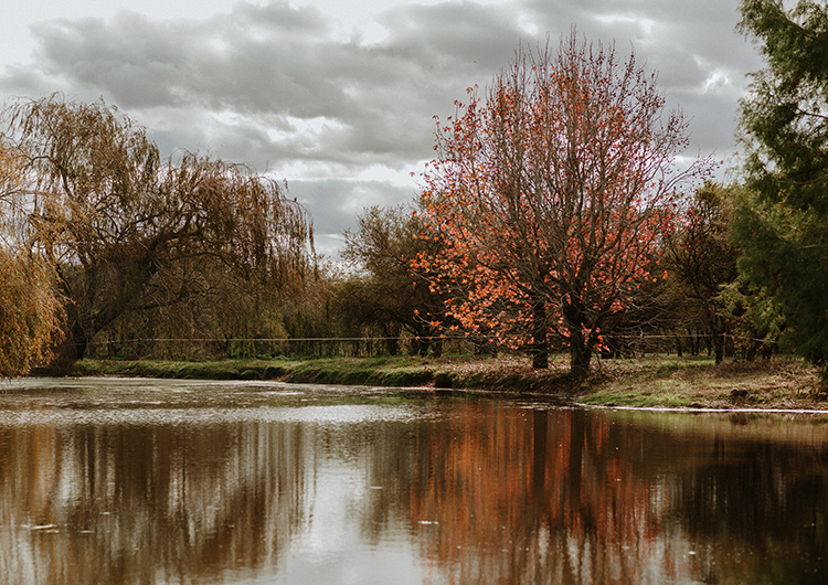 Estilo natural: parque